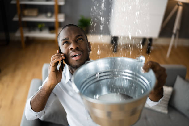 Best Water damage cleanup near me  in Berkeley, MO