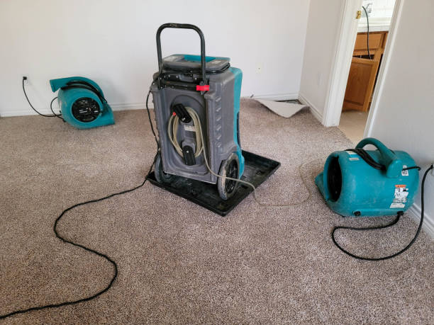 Best Residential water damage restoration  in Berkeley, MO