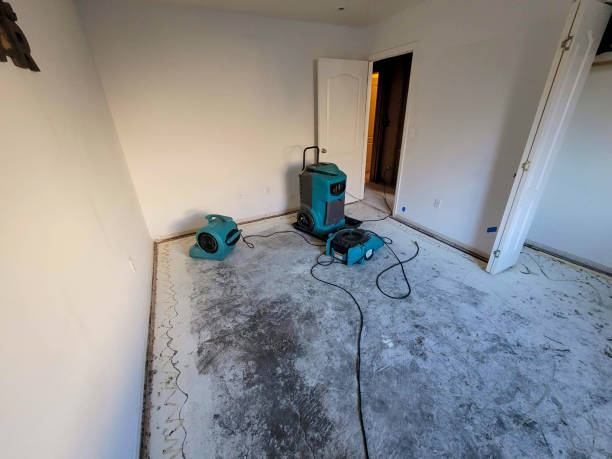 Best Water damage restoration near me  in Berkeley, MO