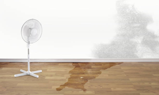 Best Residential water damage restoration  in Berkeley, MO