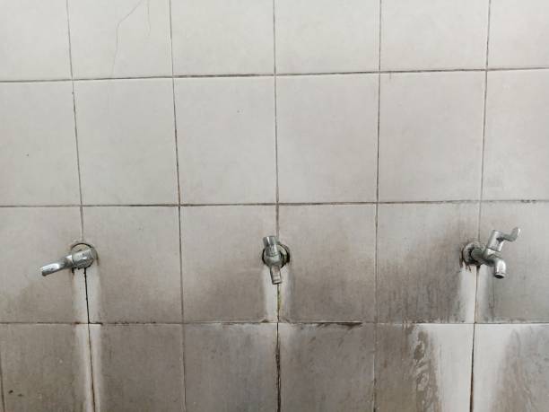 Best Carpet water damage restoration  in Berkeley, MO