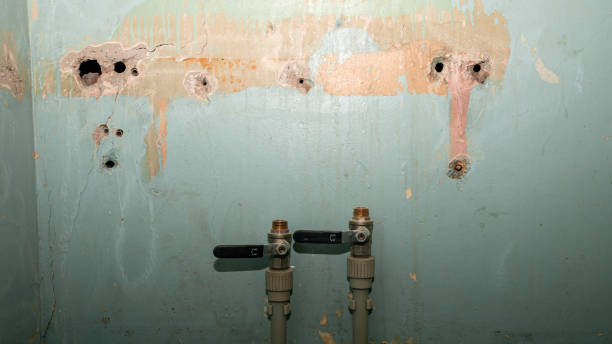 Best Professional water damage repair  in Berkeley, MO