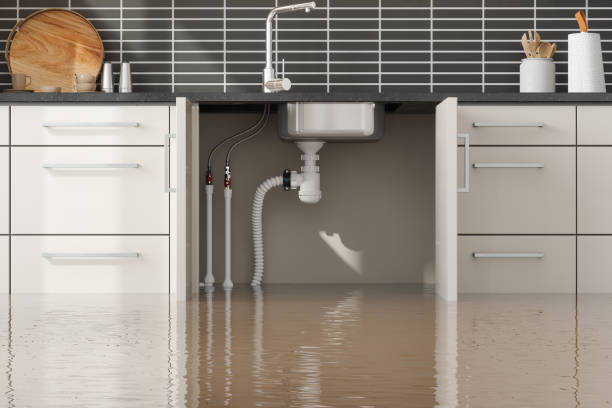 Best Flood damage cleanup  in Berkeley, MO