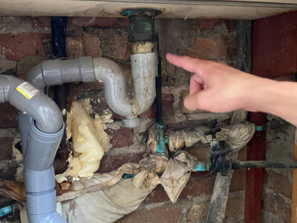 Best Professional water damage repair  in Berkeley, MO