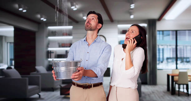 Best Basement water damage restoration  in Berkeley, MO