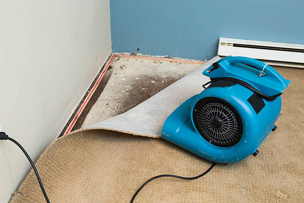 Best Ceiling water damage repair  in Berkeley, MO